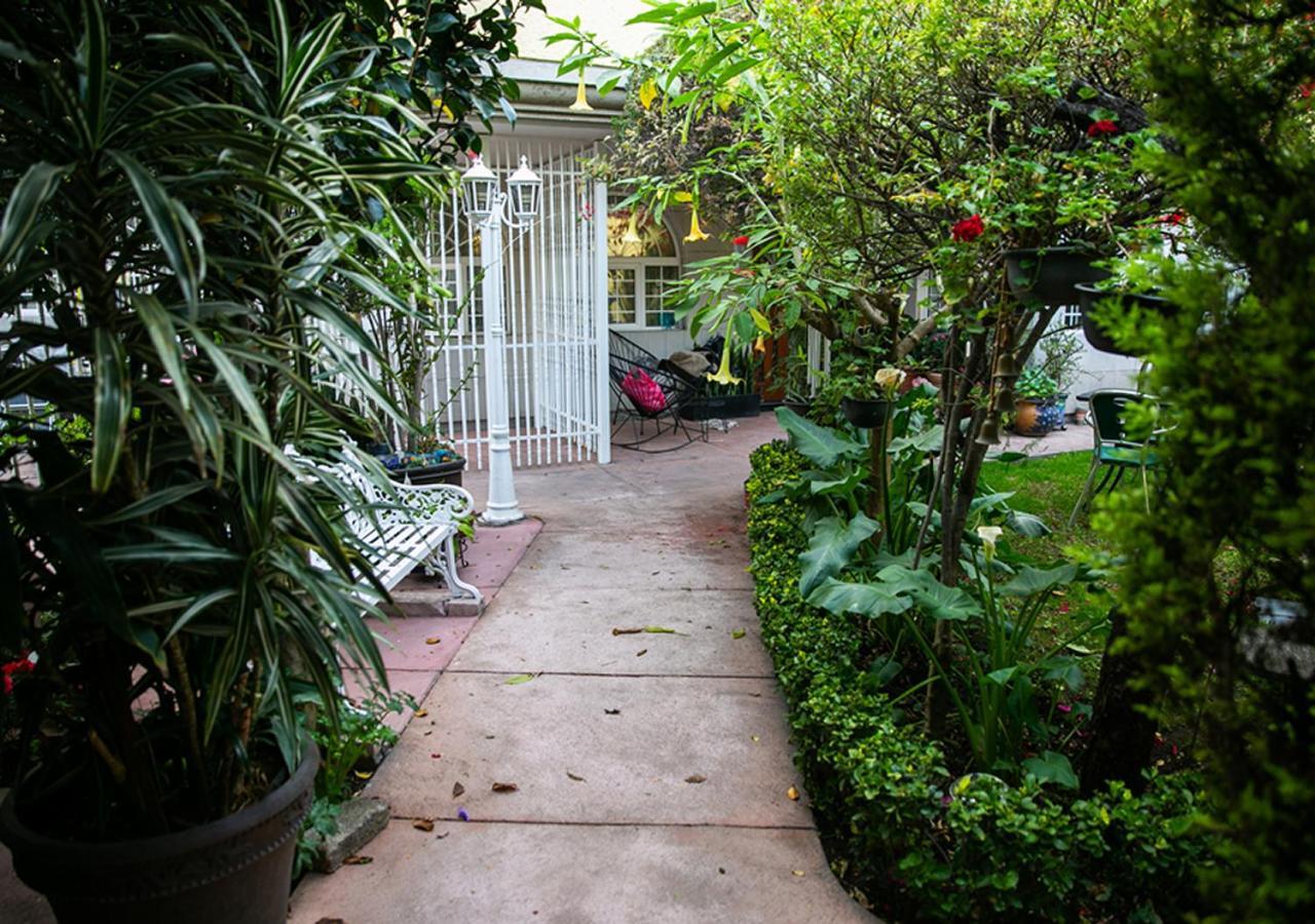 Casa San Pedro Bed & Breakfast Mexico City Exterior photo